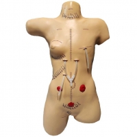 Тренажер наложения швов и повязок